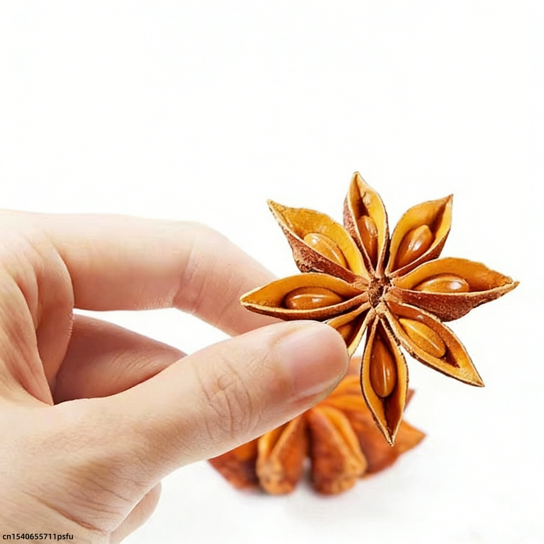 Premium Star Anise Dried Flowe - Candle Fragrance Supplies reseña y precio